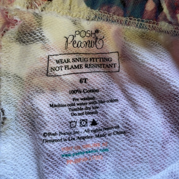 Posh Peanut | Hydrangea Rose Print Joggers | 6T - Picture 13 of 13